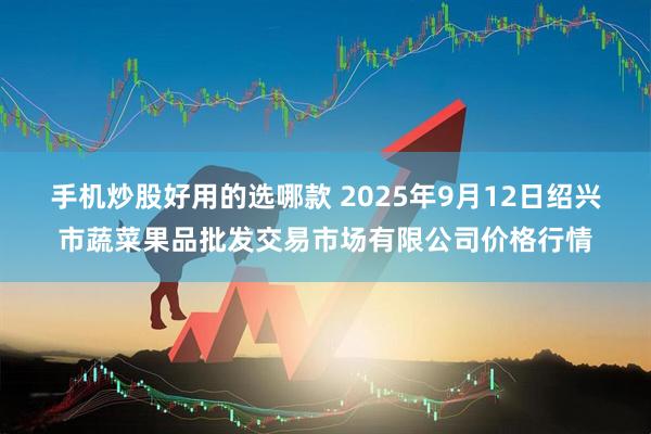 手机炒股好用的选哪款 2025年9月12日绍兴市蔬菜果品批发交易市场有限公司价格行情